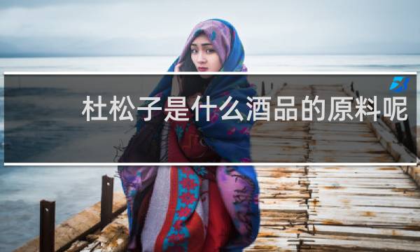 杜松子是什么酒品的原料呢