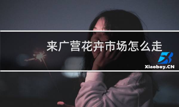 来广营花卉市场怎么走