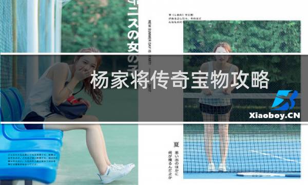杨家将传奇宝物攻略