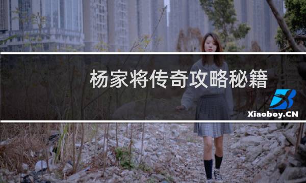 杨家将传奇攻略秘籍