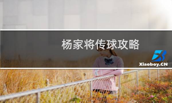 杨家将传球攻略