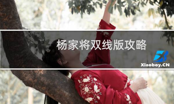 杨家将双线版攻略