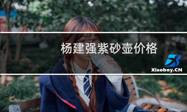 杨建强紫砂壶价格
