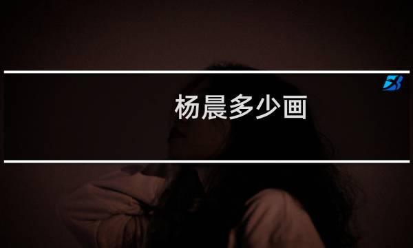 杨晨多少画