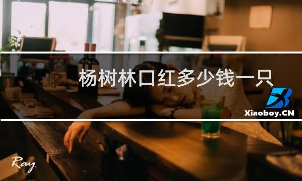 杨树林口红多少钱一只