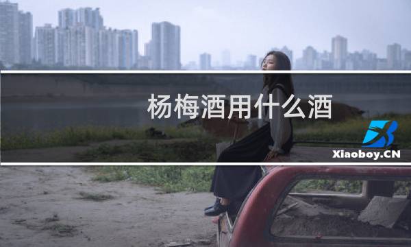 杨梅酒用什么酒