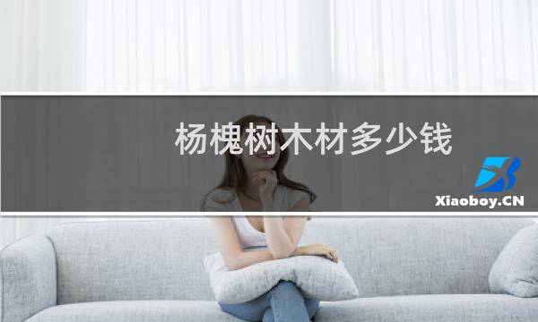 杨槐树木材多少钱