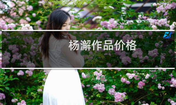 杨澥作品价格