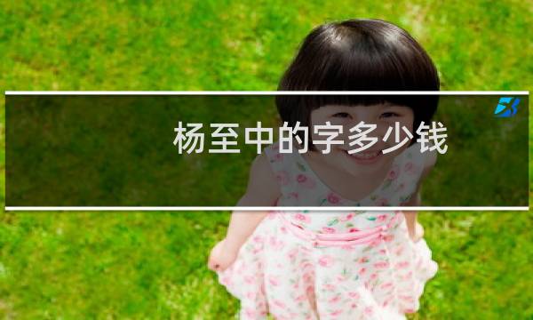 杨至中的字多少钱