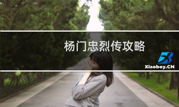 杨门忠烈传攻略