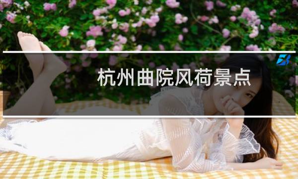杭州曲院风荷景点