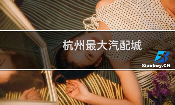 杭州最大汽配城