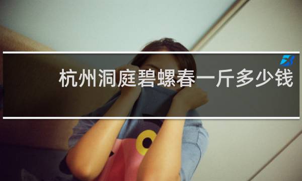 杭州洞庭碧螺春一斤多少钱