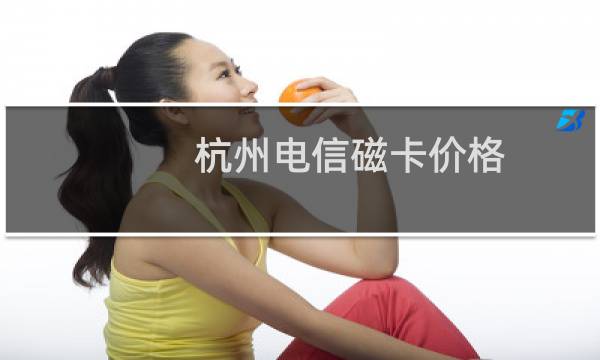 杭州电信磁卡价格