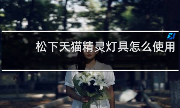 松下天猫精灵灯具怎么使用