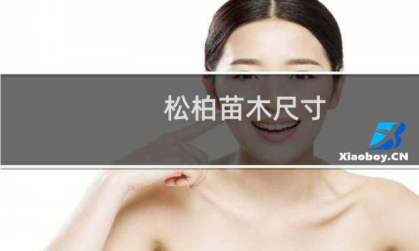 松柏苗木尺寸