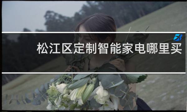 松江區定制智能家電哪里買