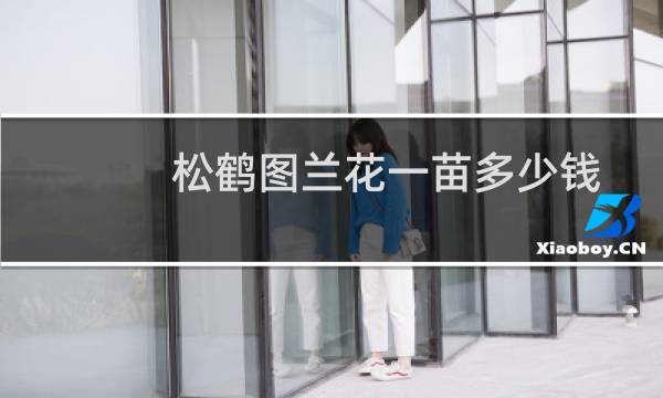 松鹤图兰花一苗多少钱