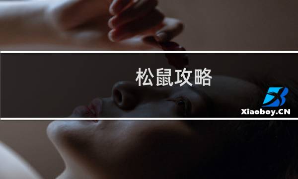 松鼠攻略