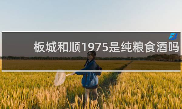 板城和顺1975是纯粮食酒吗