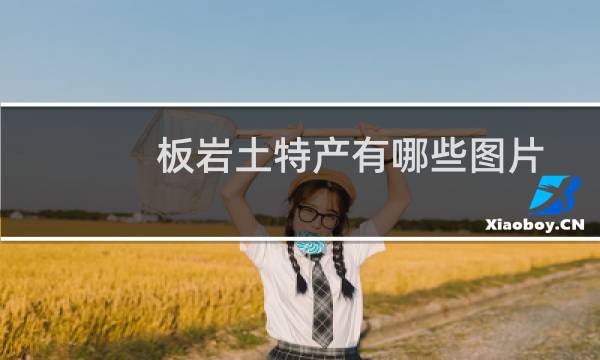 板岩土特产有哪些图片