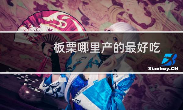 板栗哪里产的最好吃