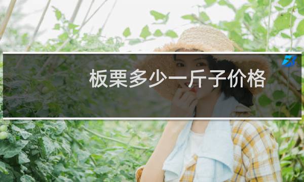 板栗多少一斤子价格