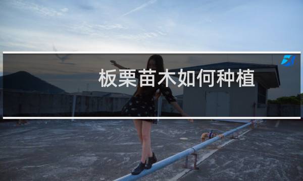 板栗苗木如何种植
