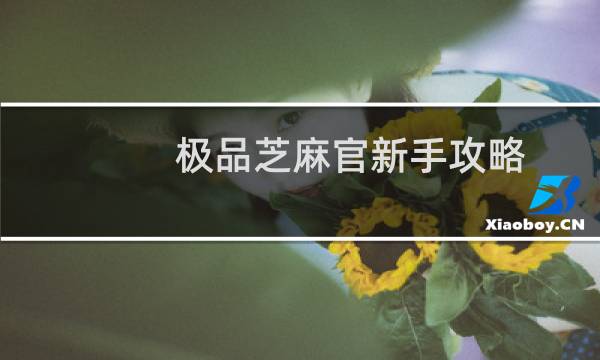极品芝麻官新手攻略