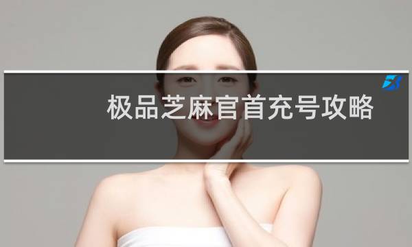 极品芝麻官首充号攻略