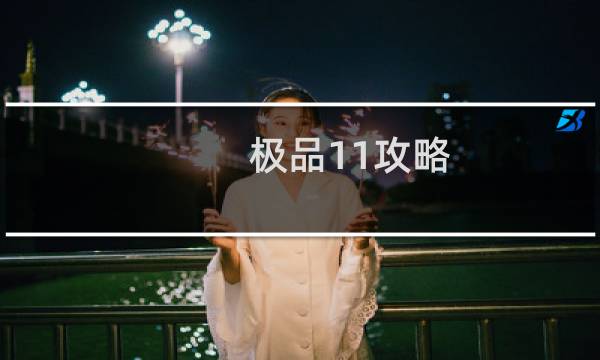 极品11攻略