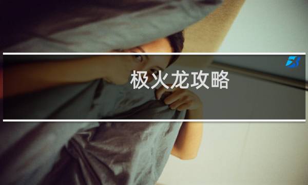 极火龙攻略