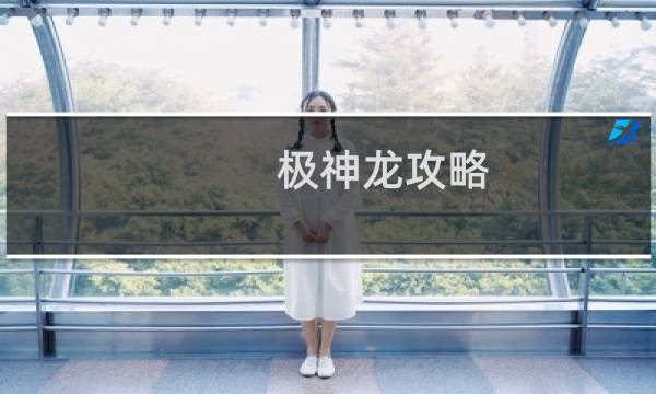 极神龙攻略.