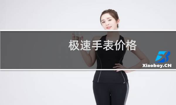 极速手表价格