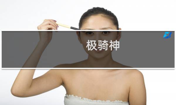 极骑神 攻略
