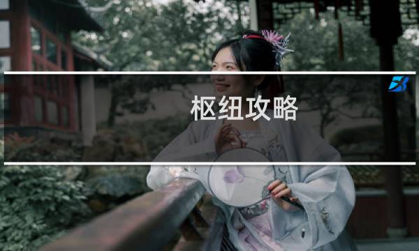 枢纽攻略