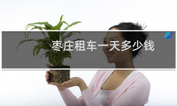 枣庄租车一天多少钱