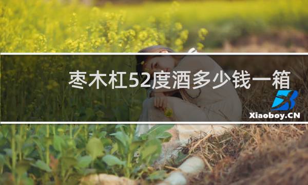 枣木杠52度酒多少钱一箱