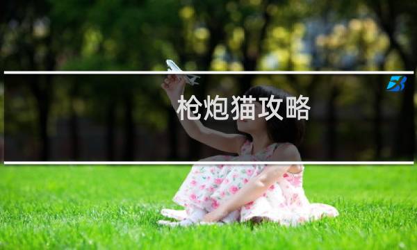枪炮猫攻略