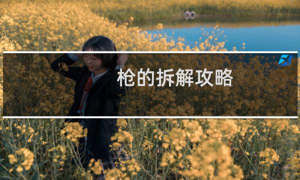 枪的拆解攻略