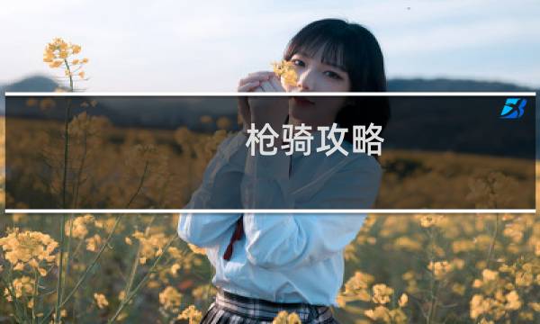 枪骑攻略
