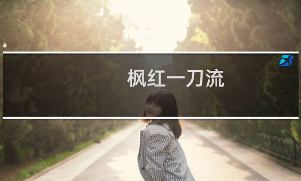枫红一刀流 攻略