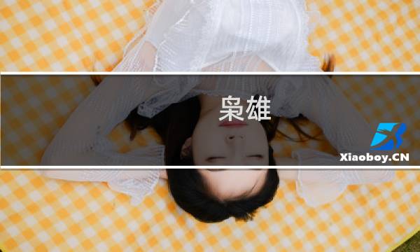 枭雄 图文攻略
