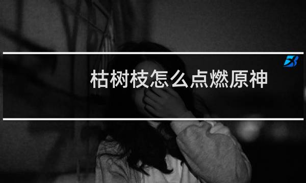 枯树枝怎么点燃原神