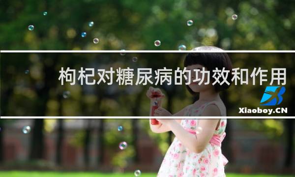 枸杞对糖尿病的功效和作用