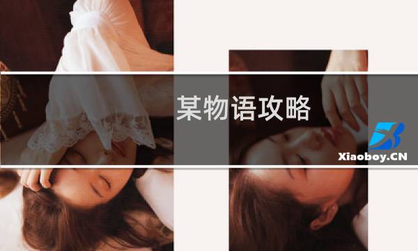 某物语攻略