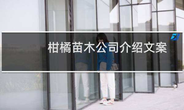 柑橘苗木公司介绍文案