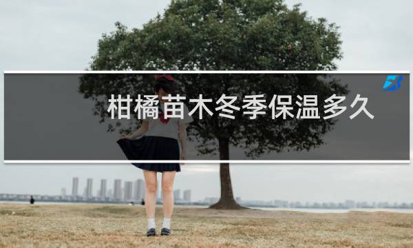 柑橘苗木冬季保温多久