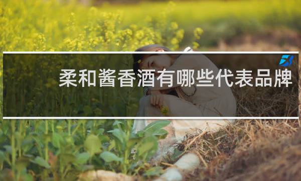 柔和酱香酒有哪些代表品牌