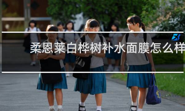 柔恩莱白桦树补水面膜怎么样